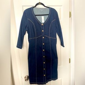 Denim New York and company dress size L